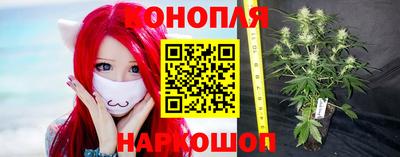 спайс Владимир