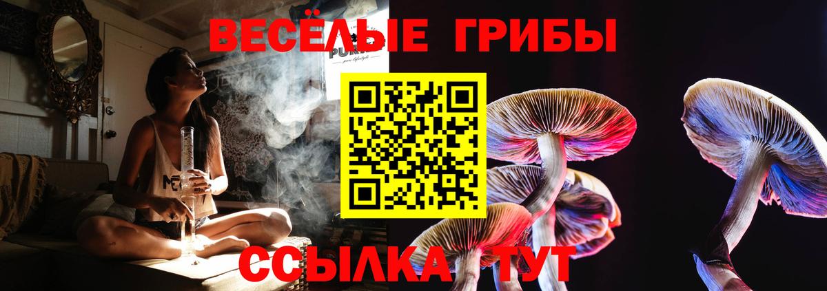 Псилоцибиновые грибы ЛСД Грязи