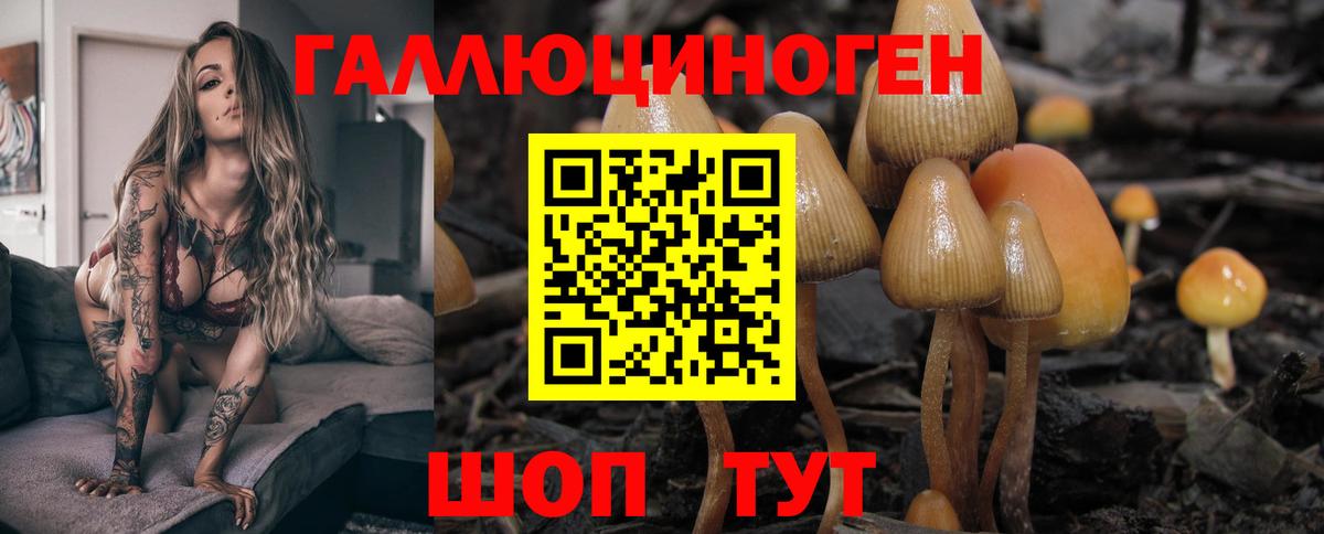 Псилоцибиновые грибы MAGIC MUSHROOMS  Вход с VPN  Псилоцибиновые грибы Psilocybe  Грязи 